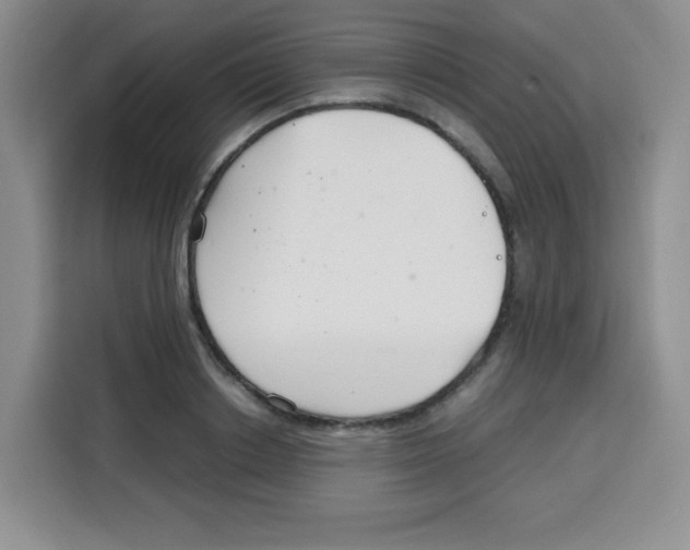 X0000115140842200911241504
