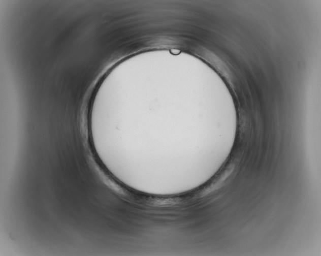 X0000115140843200911241504
