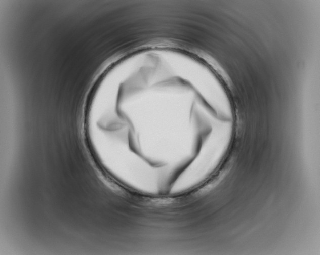 X0000115140845200911241504