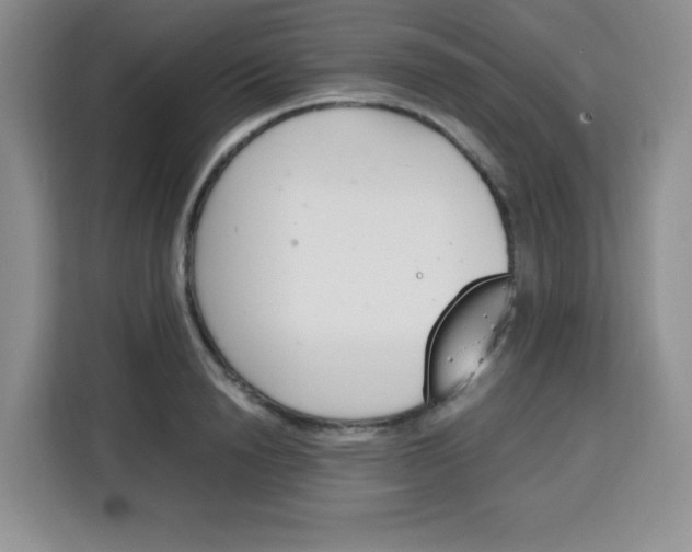 X0000115140846200911241504