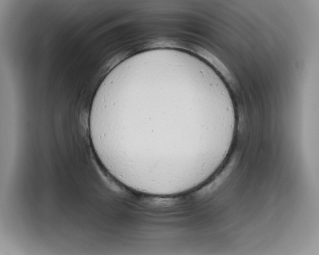 X0000115140849200911241504