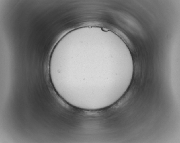 X0000115140852200911241504