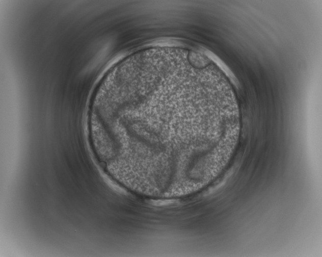 X0000115140853200911241504