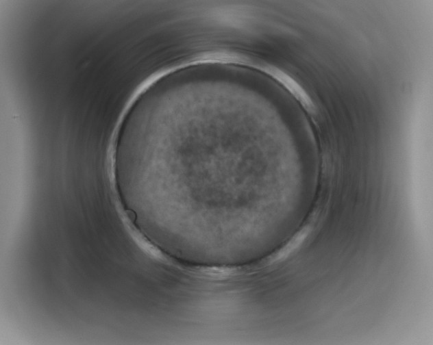 X0000115140854200911241504