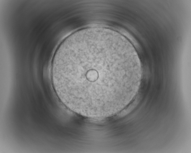 X0000115140856200911241504