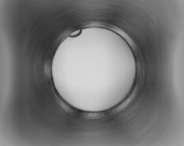 X0000115140857200911241504