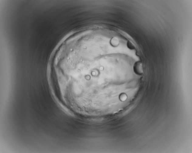 X0000115140859200911241504