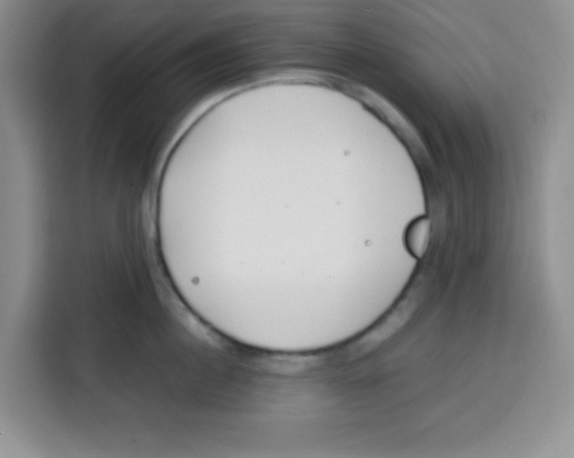 X0000115140860200911241504