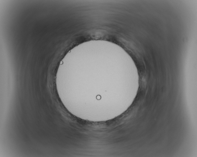 X0000115140865200911241504