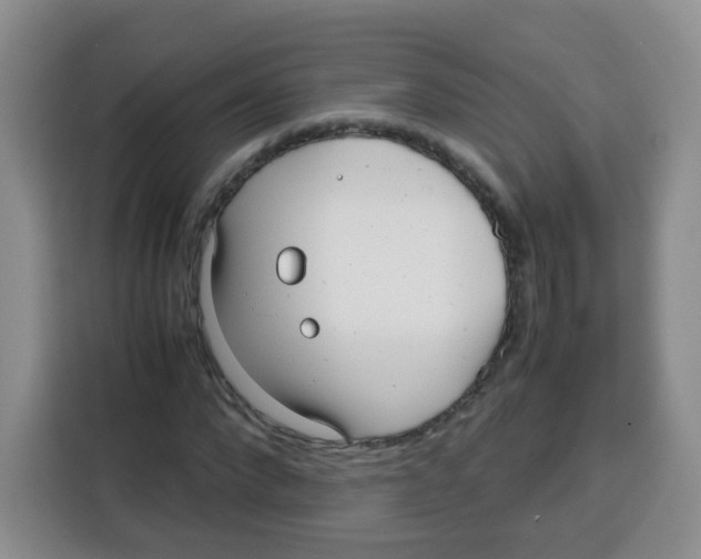 X0000115140872200911241504