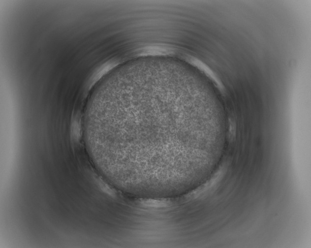 X0000115140874200911241504