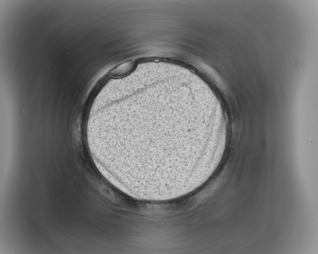 X0000115140875200911241504