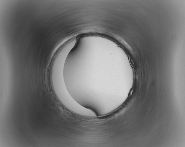 X0000115140877200911241504