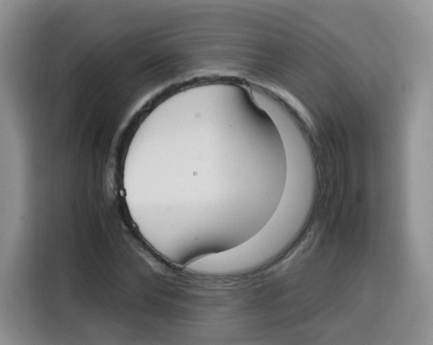 X0000115140878200911241503
