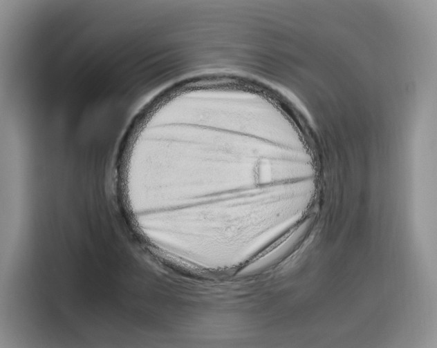 X0000115140879200911241503