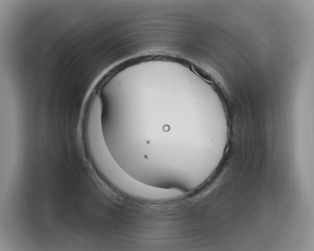X0000115140880200911241503