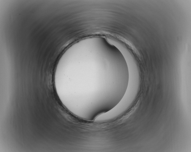 X0000115140881200911241503