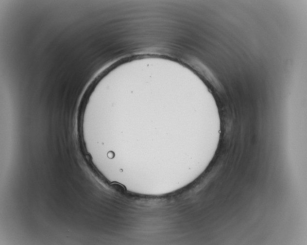 X0000115140884200911241503