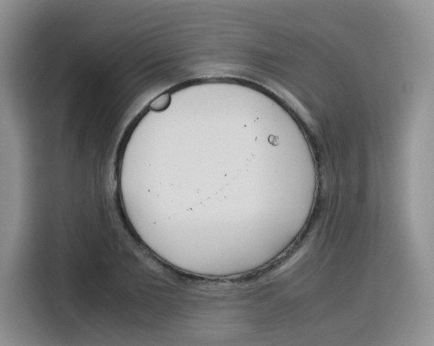 X0000115140885200911241503