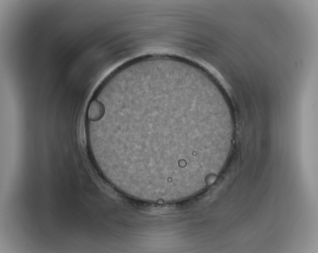 X0000115140887200911241503
