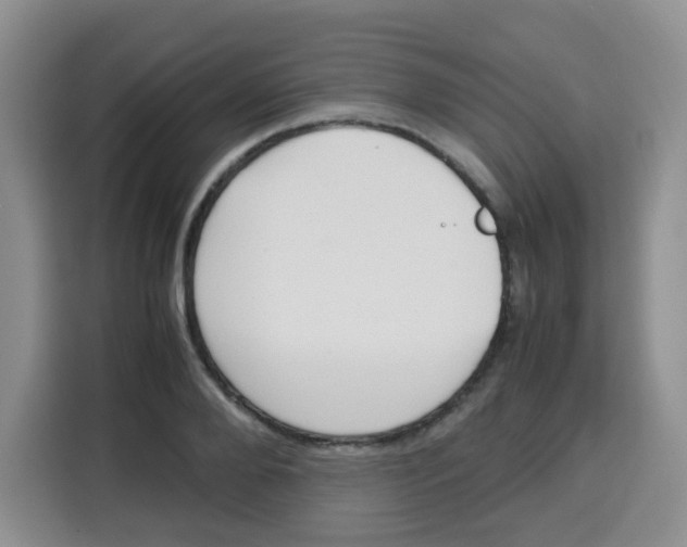 X0000115140888200911241503