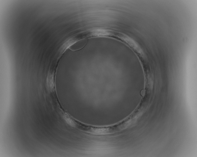 X0000115140889200911241503