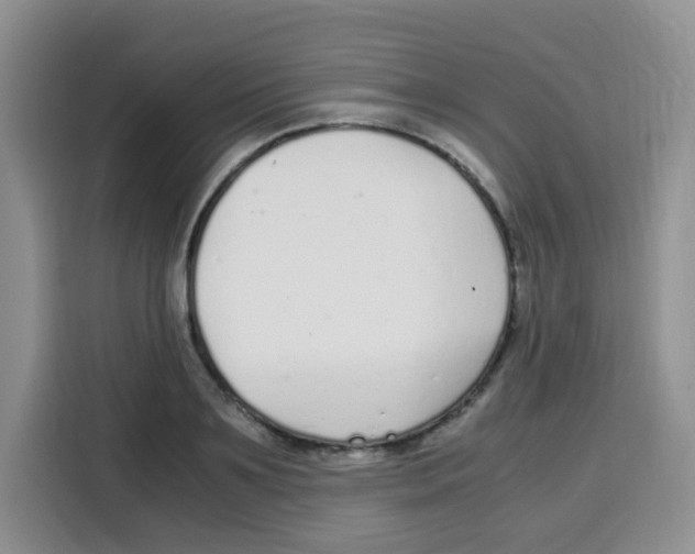 X0000115140891200911241503