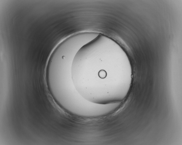 X0000115140892200911241503