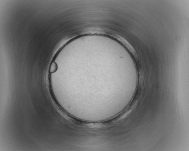 X0000115140893200911241503