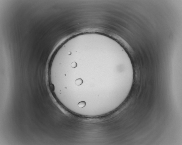 X0000115140894200911241503