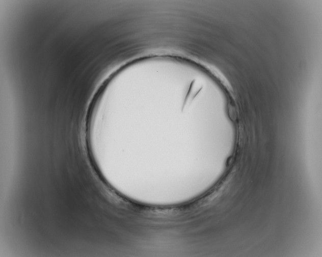 X0000115140895200911241503