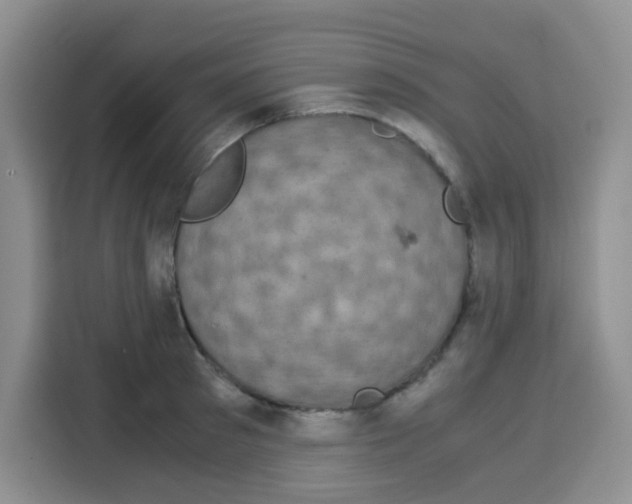 X0000115140897200911241503