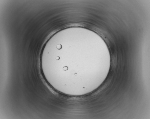 X0000115140898200911241503