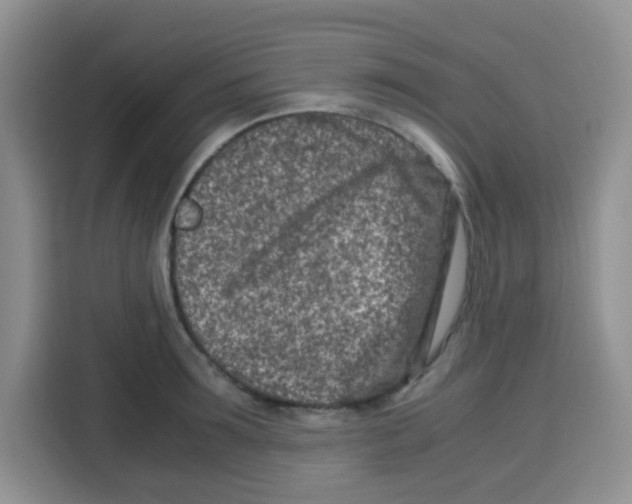 X0000115140899200911241503
