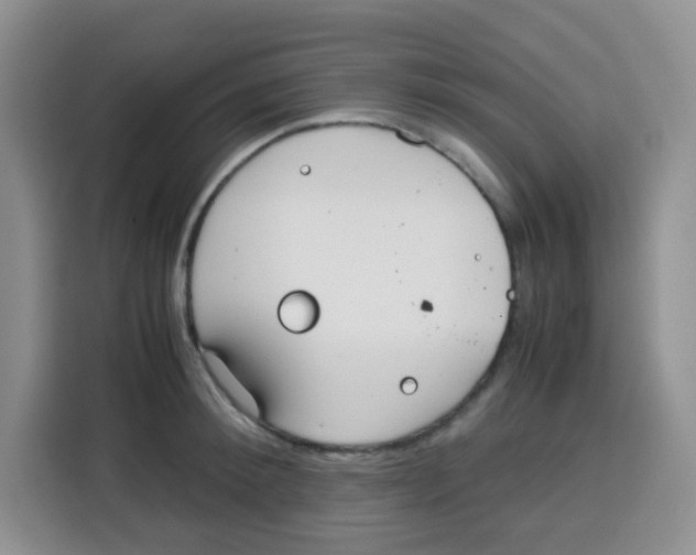 X0000115140900200911241503