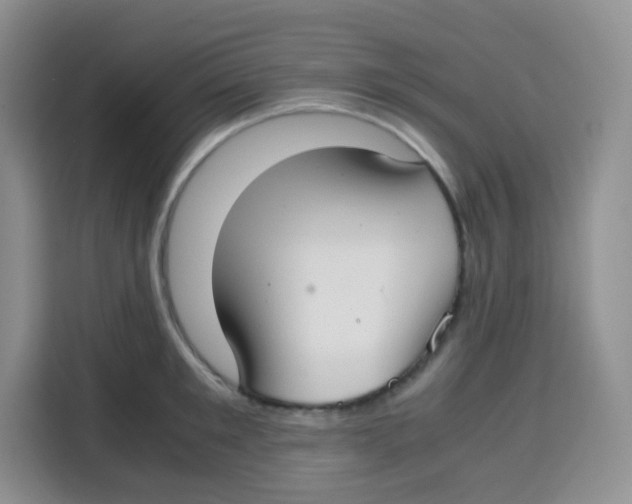 X0000115140901200911241503