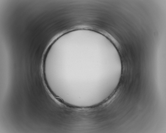 X0000115140902200911241503