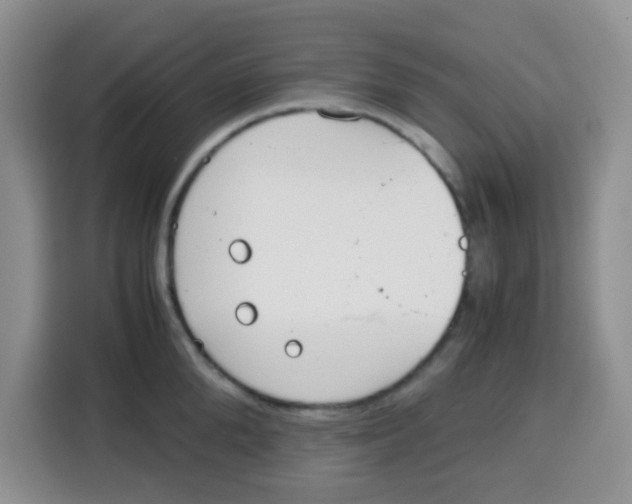 X0000115140904200911241503