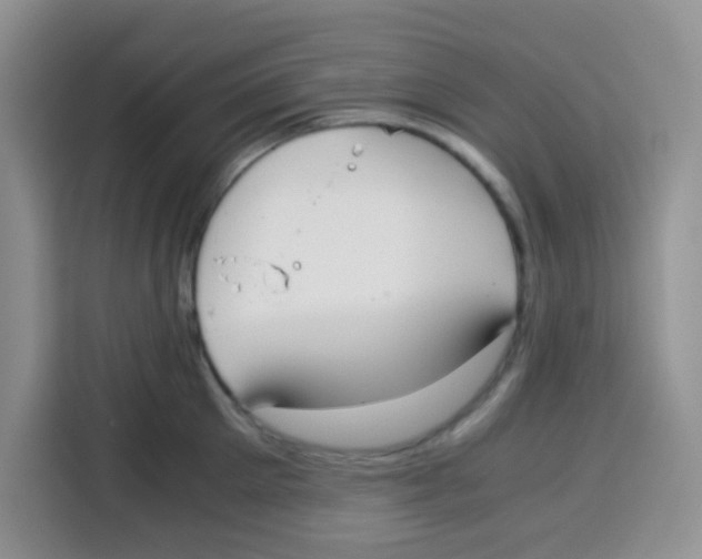 X0000115140905200911241503