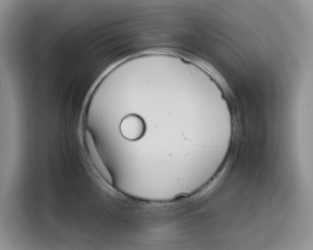 X0000115140908200911241503