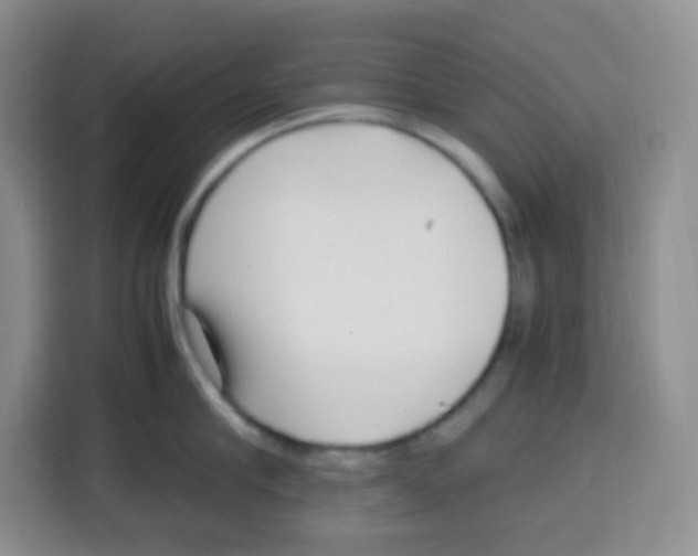 X0000115140910200911241503