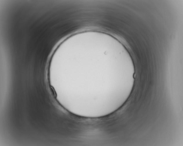 X0000115140912200911241503