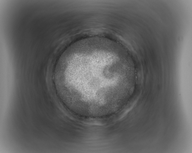 X0000115140913200911241502