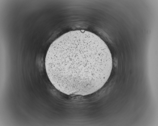 X0000115140915200911241502