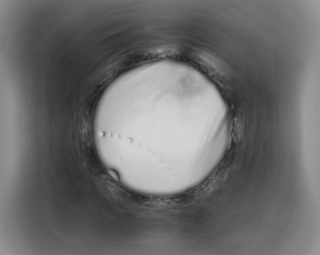 X0000115140917200911241502
