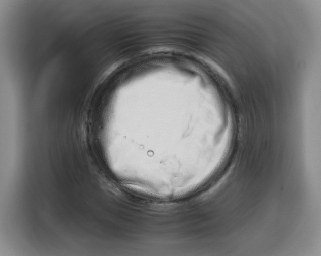 X0000115140921200911241503