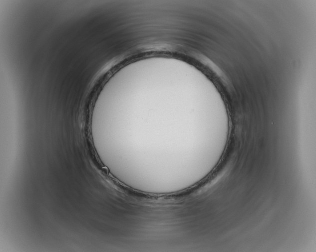 X0000115140922200911241503