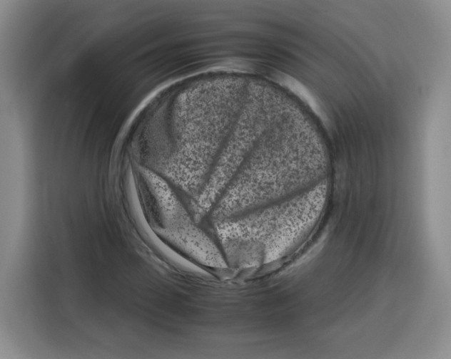 X0000115140923200911241503