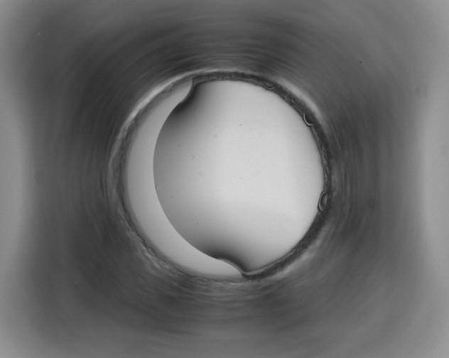 X0000115140925200911241503