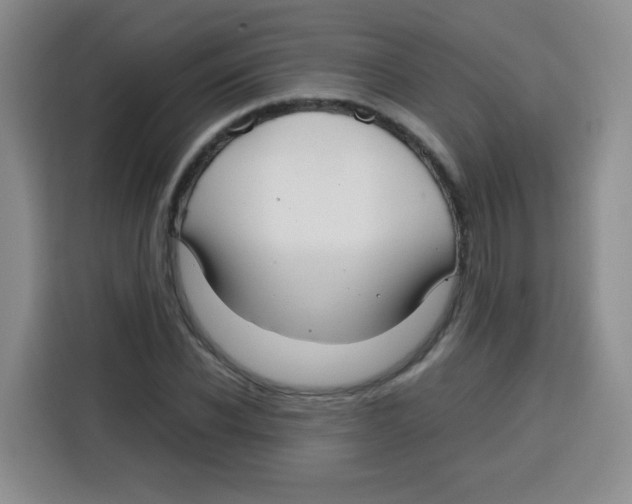 X0000115140926200911241503